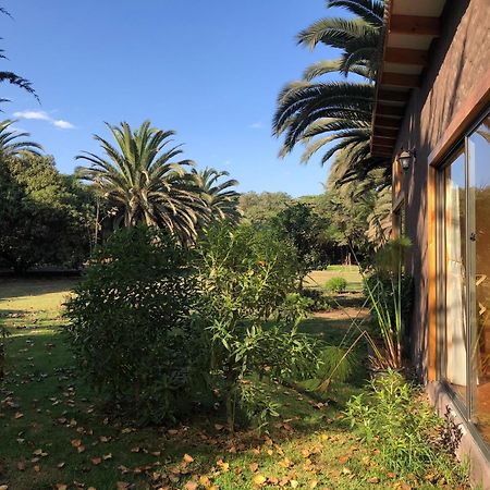 Cabanas En La Naturaleza A Pasos De La Playa La Serena Rom bilde